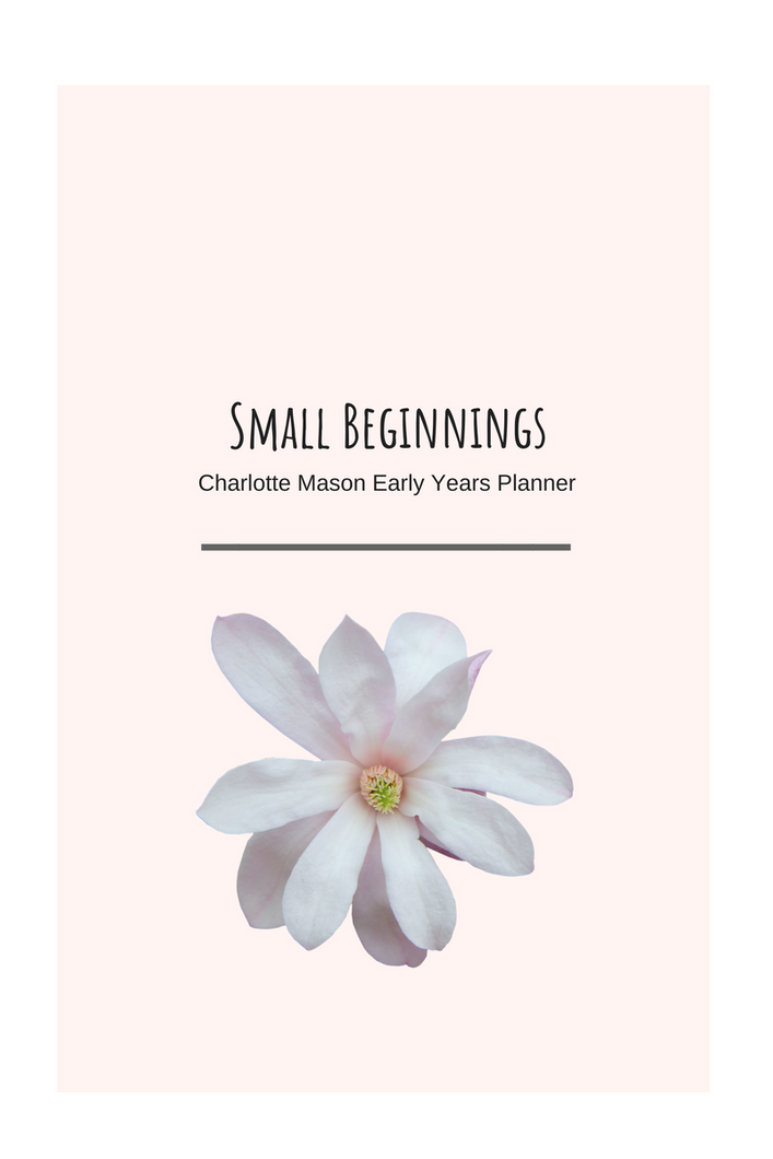 Small Beginnings Planner
